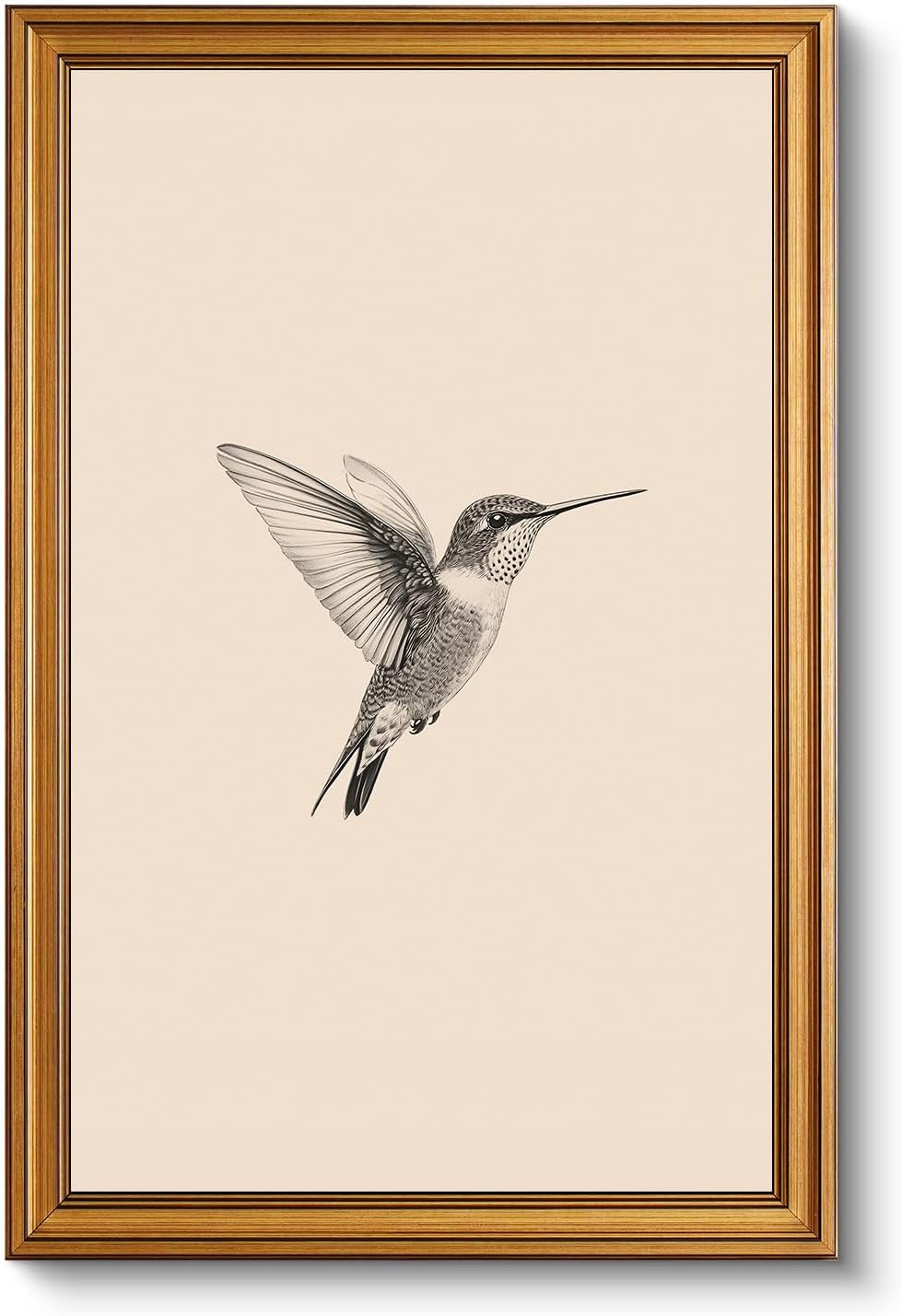 Vintage Gold Framed Wall Art, Sketch Birds Canvas Painting, Cute but Exquisite Wall Decor, No Glass No Glare, Suitable for Bedside Tables, Foyer, Bookshelves,【Hummingbird】-10L x 8W